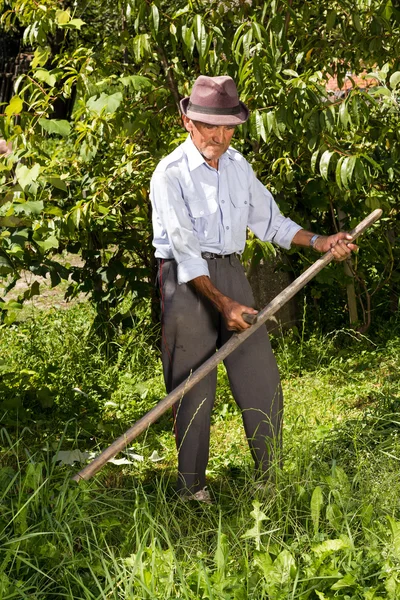 Old farmer using scythe to mow the grass — Stock Photo, Image