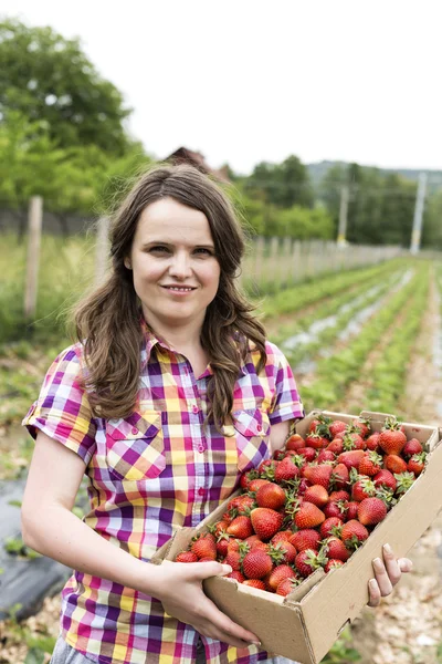 Jeune femme dans un champ de fraises tenant une boîte en carton pleine d'esprit — Photo