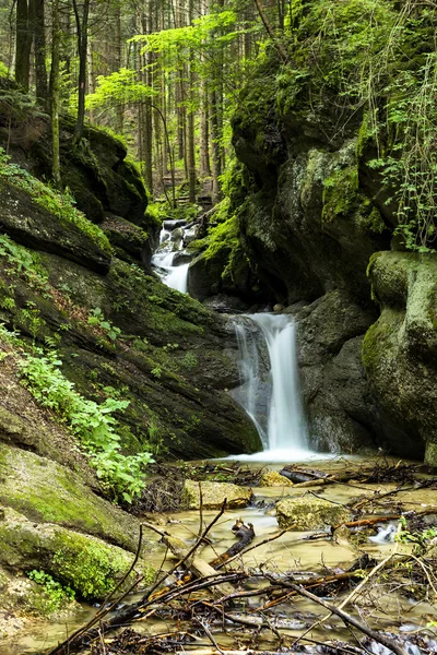 Flux d'eau douce coulant vers le bas — Photo