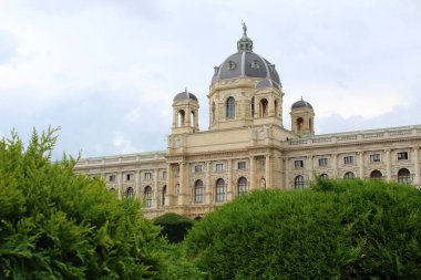 Kunsthistorisches Müzesi Viyana, Avusturya