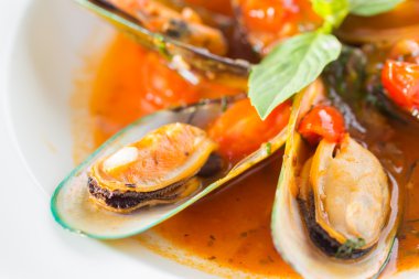 Seafoog yakın çekim