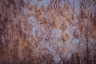 renk-ahşap doku kabuğu.