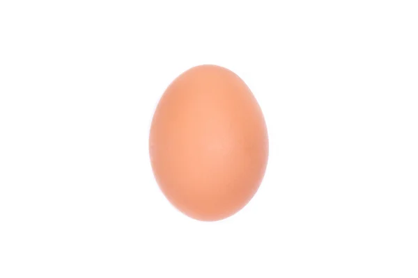 Närbild av ett ägg — Stockfoto