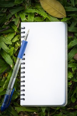 kalem ve defter