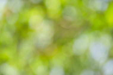 Soyut bokeh arkaplanı 