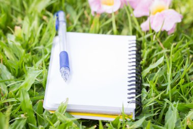 kalem ve defter