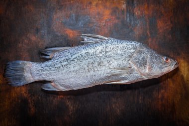 Ahşap üzerine Snapper