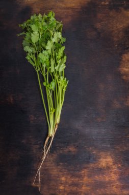 Eski ahşap üzerine taze kişniş