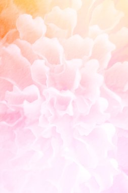 Yumuşak Çiçek Arkaplanı