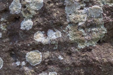 Taş dokusu arkaplanı