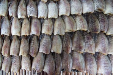 Yığındaki kurutma balık