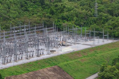 elektrik direkleri ile orman