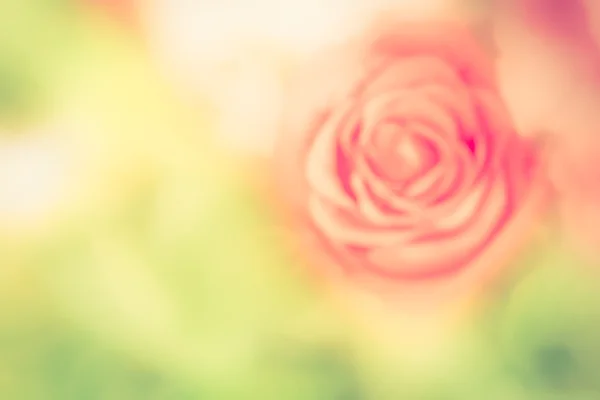 Desenfoque de la rosa — Foto de Stock