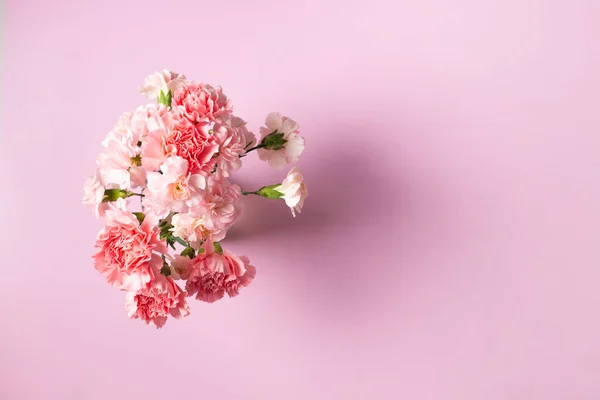 Carnation Flowers Pink Background Mother Day Valentines Day — стоковое фото