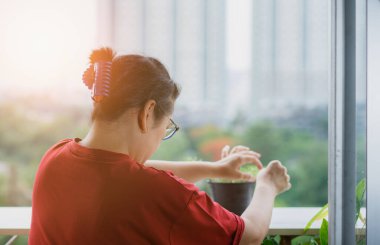 Kadınlar apartman dairesinin balkonuna ağaç dikerler. Coronavirüs salgınından sonra insanlar için yeni bir yaşam tarzı.