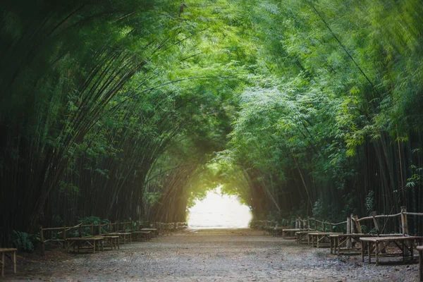 Bamboo Tunnel Nakhon Nayok Thailand — Stock Photo, Image
