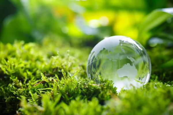 Globo Vidrio Sobre Musgo Verde Concepto Naturaleza Para Medio Ambiente — Foto de Stock