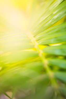 Yeşil doğa ile soyut