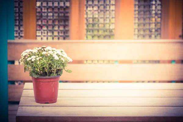 Vita blommor pot — Stockfoto