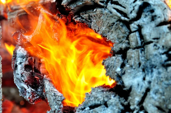 Flammen eines Lagerfeuers. — Stockfoto