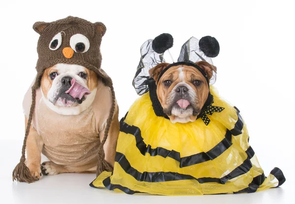 Birds and the bees — Stock Photo, Image