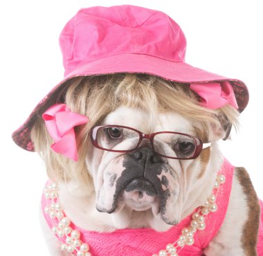 kadın İngilizce bulldog