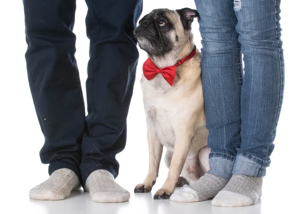 Hund sitzt Besitzern zu Füßen — Stockfoto