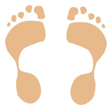 iki tonlu eti ayak izleri