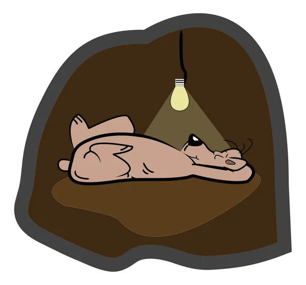 Oso durmiendo — Vector de stock