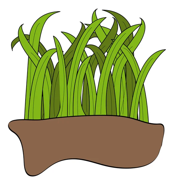 Лезвия зеленой травы — стоковый вектор