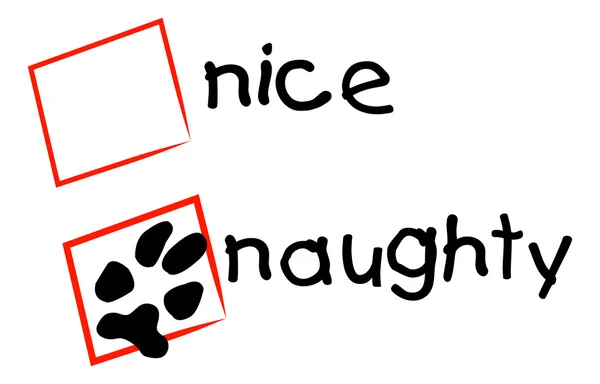 Nice and naughty sign — Stock Vector