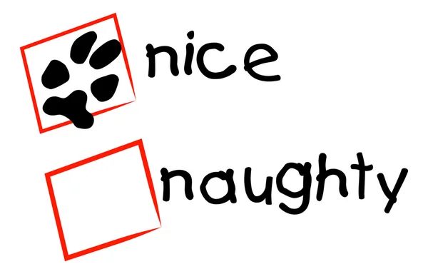 Nice and naughty sign — Stock Vector