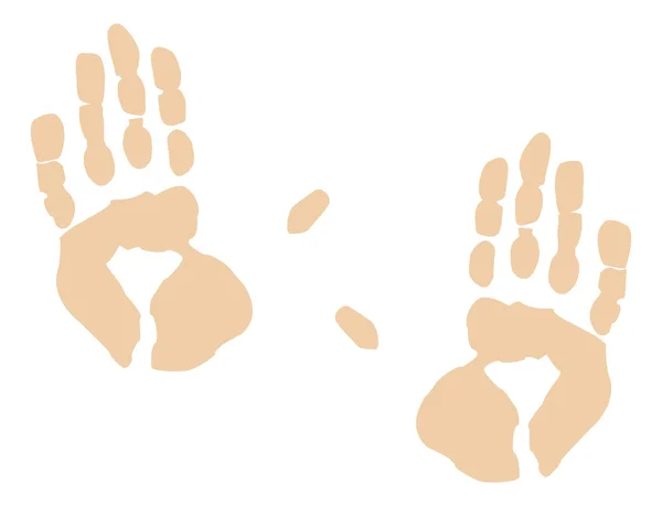 Deux mains de couleur chair — Image vectorielle