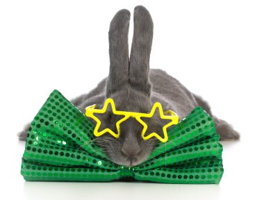 Rockstar bunny