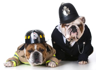 köpek itfaiyeci polis üzerinde