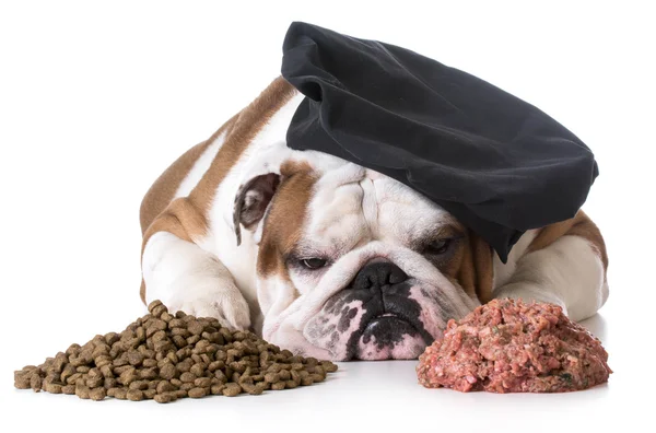 Hund mat debatt - kibble eller rå — Stockfoto