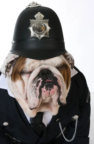 Hund polisen eller catcher — Stockfoto