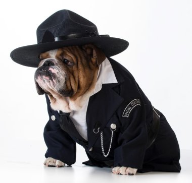 Polis memuru ya da köpek tutmak