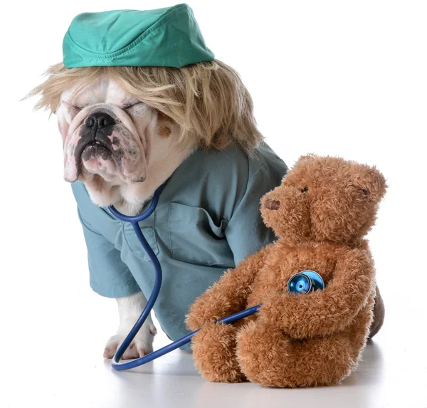 Bulldog vestido como um médico — Fotografia de Stock