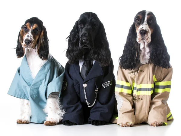 First responders — Stock Photo, Image