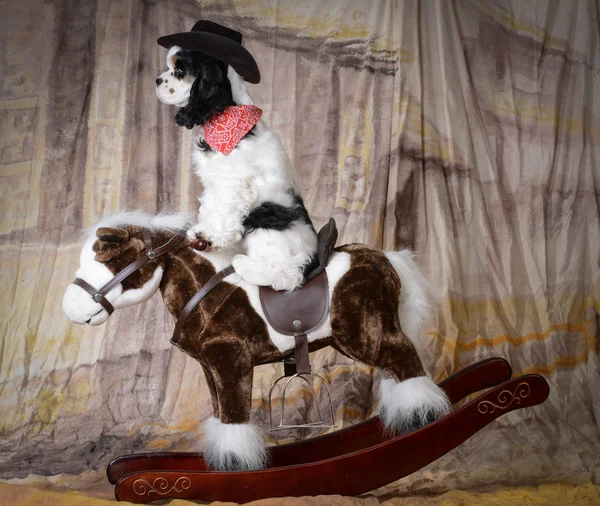 Dog riding a horse — Stock Photo, Image