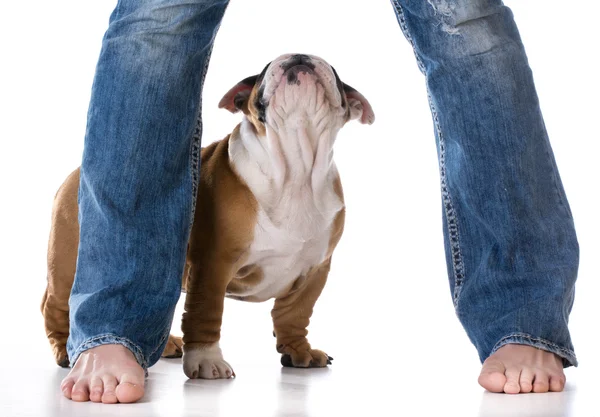 Woman and her dog — Stock Photo, Image