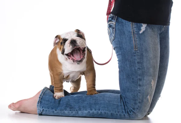 Woman and her dog — Stock Photo, Image