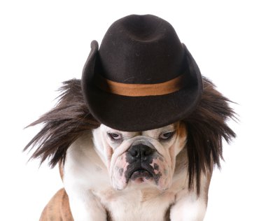 Komik köpek.