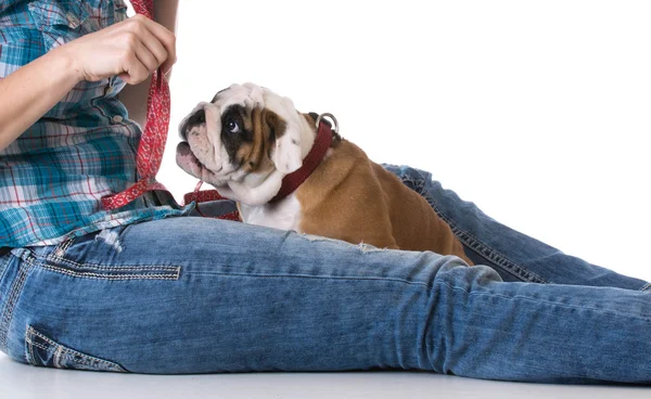 Kvinnan och hennes hund — Stockfoto