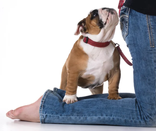 Woman and her dog — Stock Photo, Image