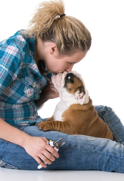 Trimning hund naglar — Stockfoto