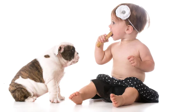 Dítě a štěně — Stock fotografie