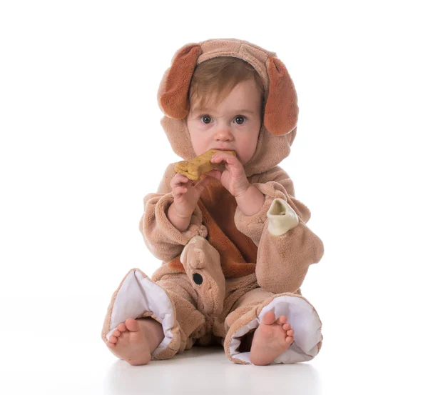 Little girl dressed like a puppy — Stock Photo, Image