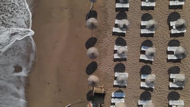 Lege parasols op het strand — Stockvideo